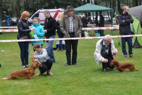 Szesnasta wsp�lna wystawa NA’ILI i NURI Kollapsar